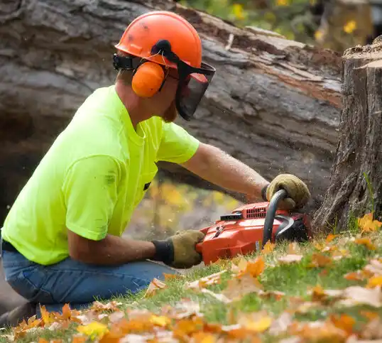 tree services Eupora